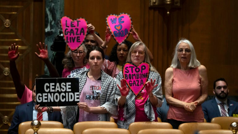 Protestors opposed to the war between Israel and Hamas stand before a hearing.