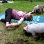 Piglets interact with instructor Ashley Bousquet during an outdoor yoga class.