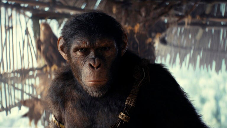 This image released by 20th Century Studios shows Noa, played by Owen Teague, in a scene from "Kingdom of the Planet of the Apes."