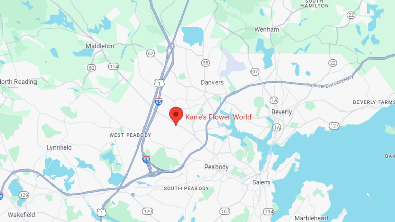 Report: Kane's Flowers in Danvers to be replaced by auto dealer - Vimarsana News