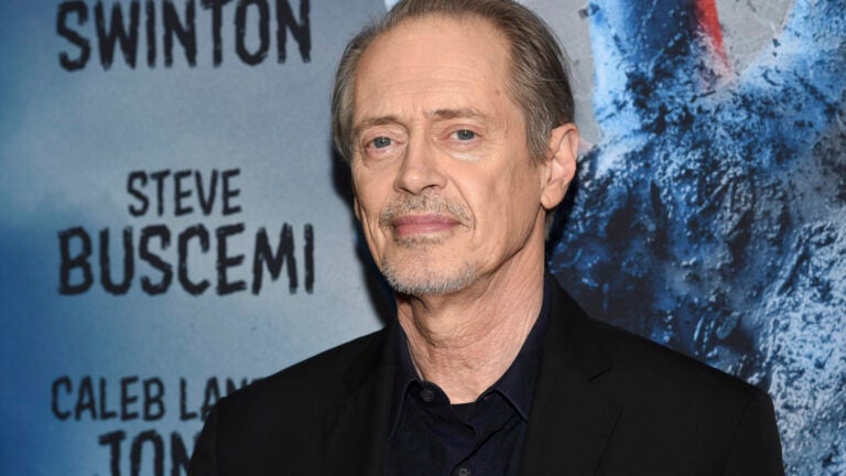 FILE - Actor Steve Buscemi attends the premiere of "The Dead Don't Die" at the Museum of Modern Art, June 10, 2019, in New York. Buscemi was punched in the face by a random attacker on a New York City street, Wednesday, May 8, 2024, according to police and his publicist.