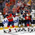 The Boston Bruins and Florida Panthers fought during the third period.