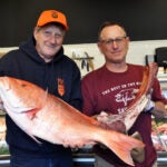 Wulf's Fish and Savenor's Butcher Shop