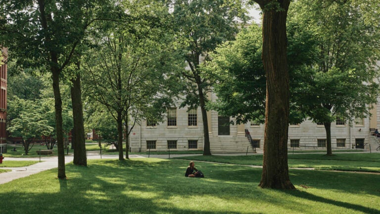 Harvard Yard on Harvard University’s campus, in Cambridge, Mass.