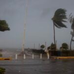 Palm trees sway as the wind and rain from Hurricane Beryl pass through on July 03, 2024, in Kingston, Jamaica. Beryl has caused widespread damage in several island nations as it continues to cross the Caribbean.