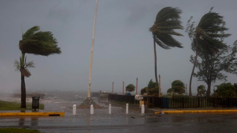 Palm trees sway as the wind and rain from Hurricane Beryl pass through on July 03, 2024, in Kingston, Jamaica. Beryl has caused widespread damage in several island nations as it continues to cross the Caribbean.