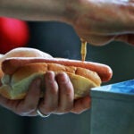 Hot dog at Fenway Park
