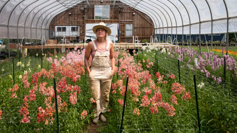 Angie Holl walks through a greenhouse of flowers at her and husband Alex’s Rootin Tootin Acres farm in Tinmouth, Vt., July 8, 2024.