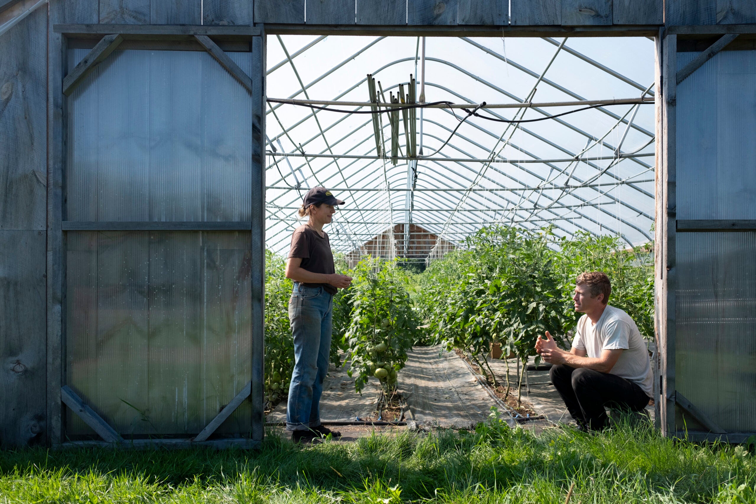 Ashley Loehr and Antoine Guerlain chat in a greenhouse at Hurricane Flats. 