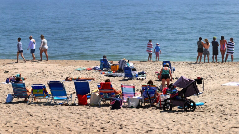 Summer Beach chairs are lined up on the Nauset Town Beach, Orleans on a hot summer day on Cape Cod.