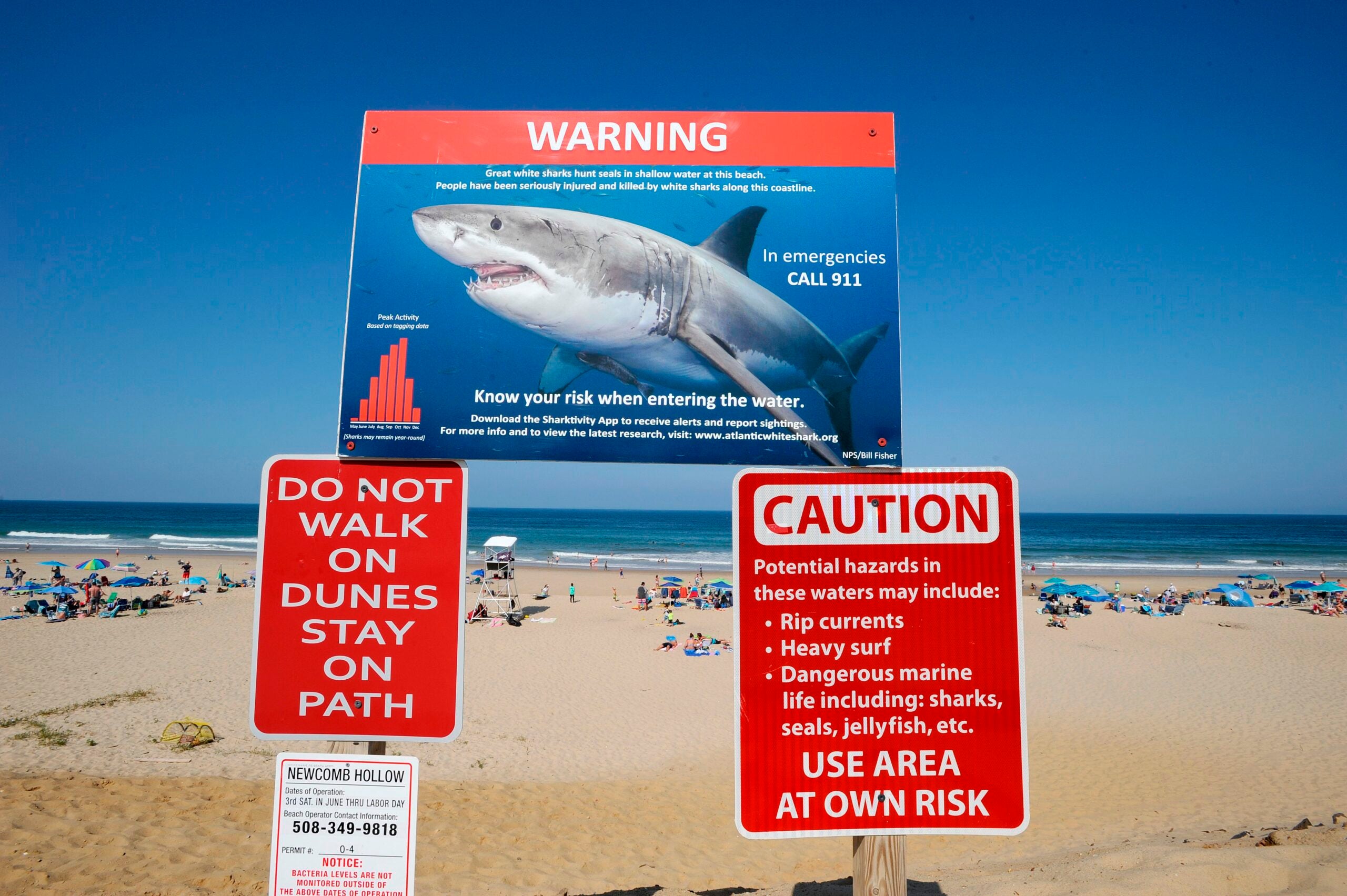 Signage warns beachgoers about great white sharks at the entrance to Newcomb Hollow Beach in Wellfleet, Massachusetts on Cape Cod.