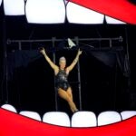 Pink at Gillette Stadium