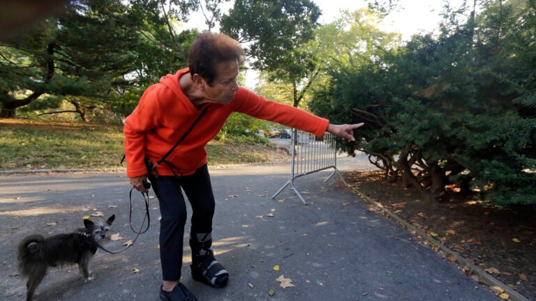 Florence Slatkin, with her dog Paco, points to the spot where she and a friend discovered a dead bear cub in New York's Central Park.