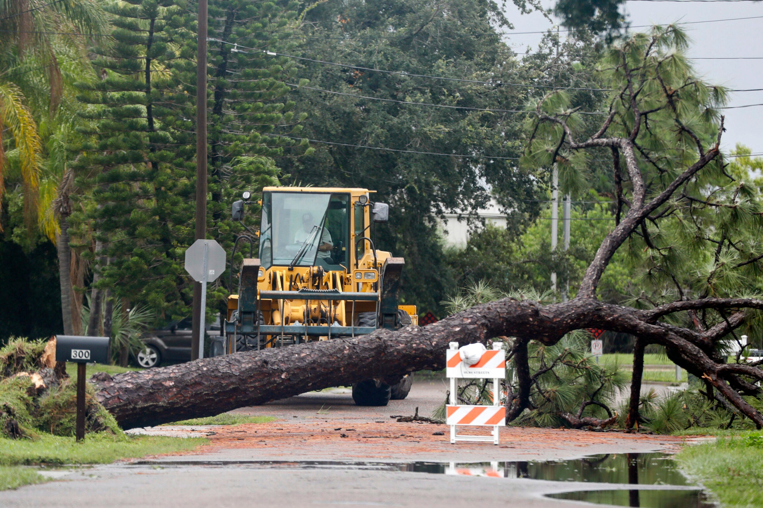 City workers prepare to haul and cut a tree that fell down near the intersection of Woodward Avenue and Dartmouth Avenue. 