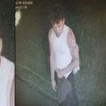 Boston Police detectives are asking for the public’s help identifying an individual involved in a vandalism at the Holocaust Memorial on Friday.