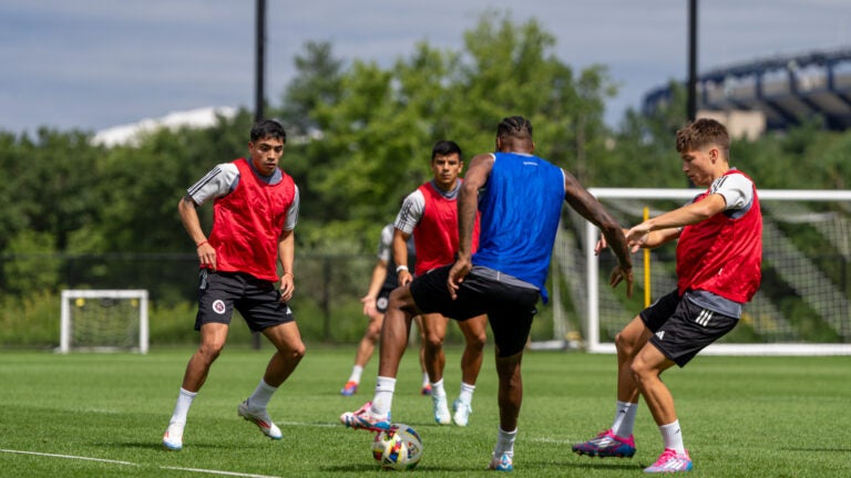 Luca Langoni Revolution