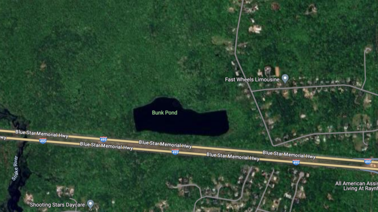 Taunton woman drowns in local pond, authorities say