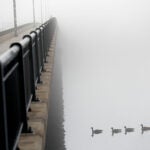 Fog envelopes the Harvard Bridge as pedestrians and wildlife pass over and under the bridge along Massachusetts Avenue over the Charles River.