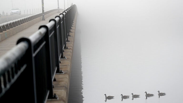 Fog envelopes the Harvard Bridge as pedestrians and wildlife pass over and under the bridge along Massachusetts Avenue over the Charles River.