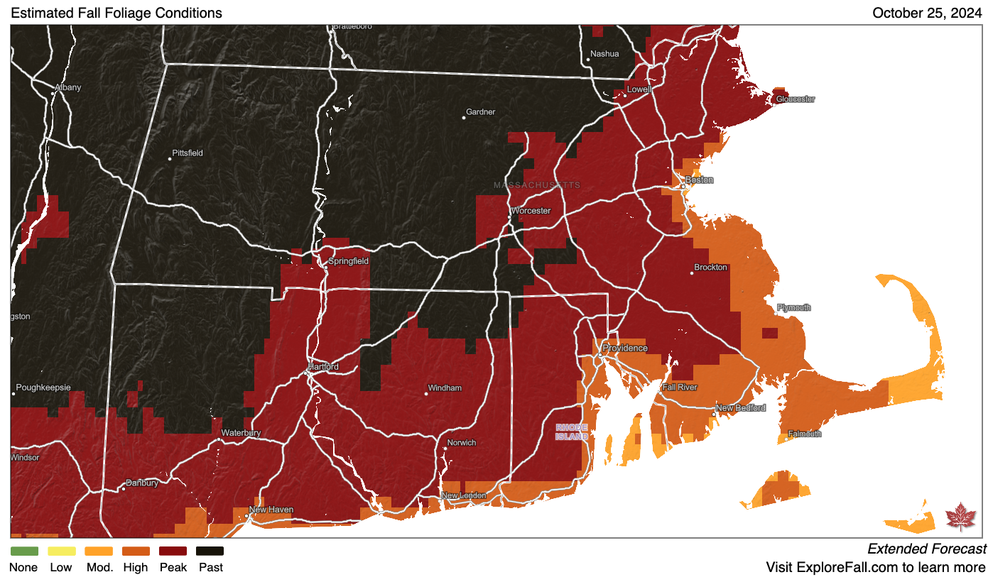 A 2024 fall foliage forecast map for the Boston area.