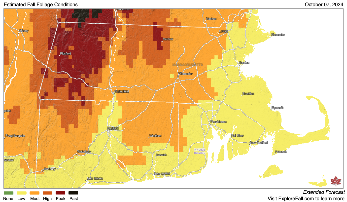 A map of 2024 fall foliage in Massachusetts.