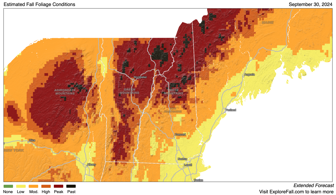 A simulated fall foliage 2024 map for New Hampshire.