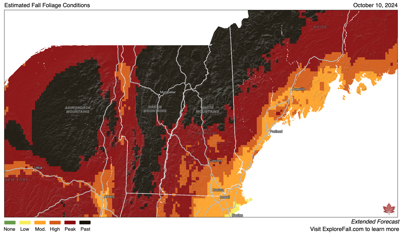 A simulated fall foliage map for New Hampshire.