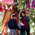 Mayor Michelle Wu laughed with her sons Cass and Blaise at the Franklin Park Zoo on Sunday. The family was there to promote BPS Sundays.