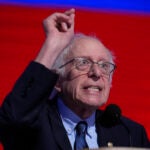 Sen. Bernie Sanders, I-Vt., speaks during the Democratic National Convention.
