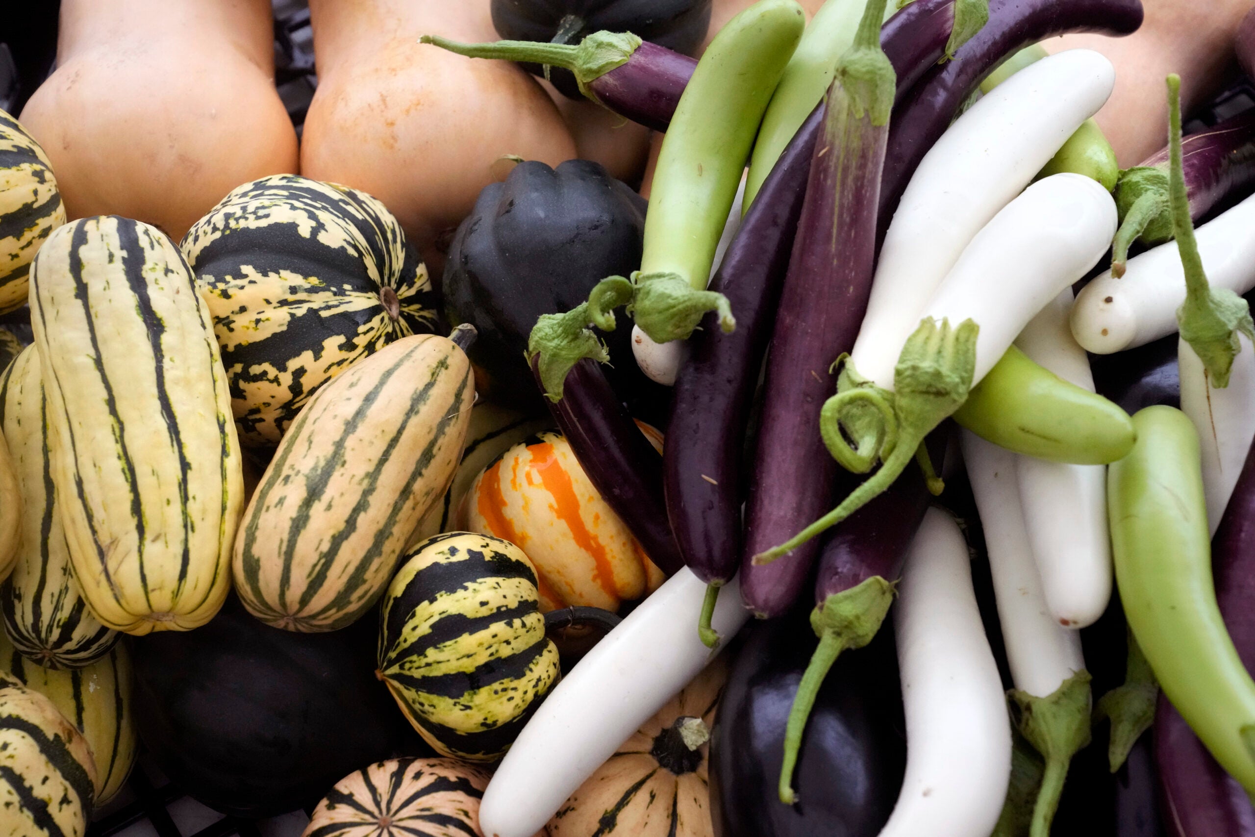 A selection of squash, left, and eggplant, right, are stacked after being washed.