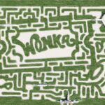 The Wonka Maze