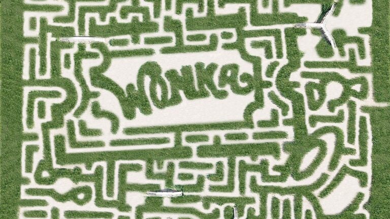 A Wonka-themed maze is opening this week in Massachusetts