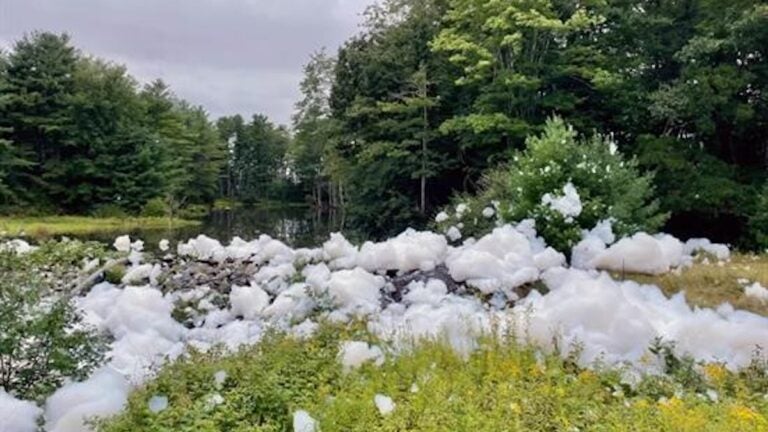 Thousands of gallons of aqueous film-forming foam (AFFF) mixed with 50,000 gallons of water accidentally discharged at a Brunswick airport. The foam contains PFAS chemicals.