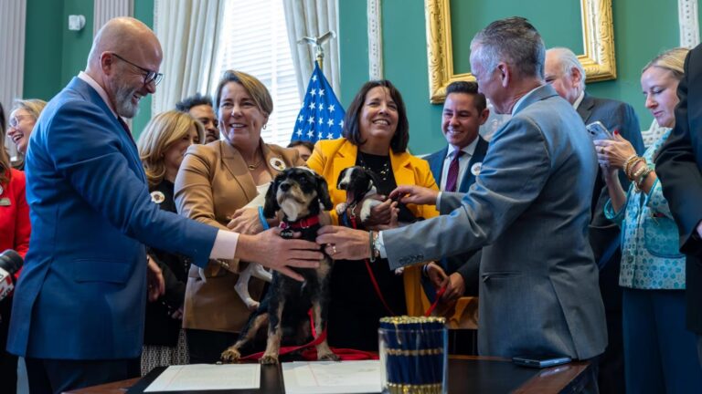 “Ollie’s Law” was ceremonially signed on Thursday to protect animals in the care of boarding facilities and kennels.