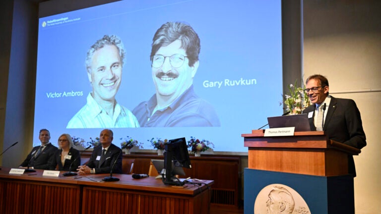 Nobel Committee chairman Thomas Perlmann, right, announces Americans Victor Ambros, left, and Gary Ruvkun, seen on a screen being awarded this year's Nobel Prize in Physiology or Medicine.