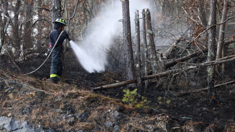 Have you heard about the wildfires in Eastern Mass. affected?