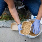 Director of Operations at Wisdom Good Works, replenishes pellets used in a rat birth control pilot program in Jamaica Plain.
