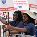 Dockworkers from Port Miami display signs at a picket line, Thursday, Oct. 3, 2024, in Miami.