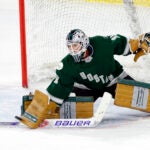 PWHL Boston goaltender Aerin Frankel (31) makes a save against PWHL Ottawa in the second period at the Tsongas Center.