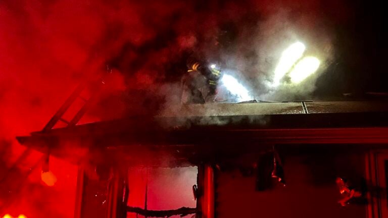The Westborough Fire Department rescued multiple animals from a house fire Sunday morning, officials say.