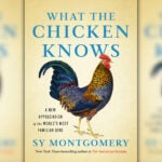 "What the Chicken Knows: A New Appreciation of the World's Most Familiar Bird" by Sy Montgomery.