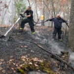 Firefighters work to put out a brush fire, Tuesday, Oct. 29, 2024, in Salem, Mass.