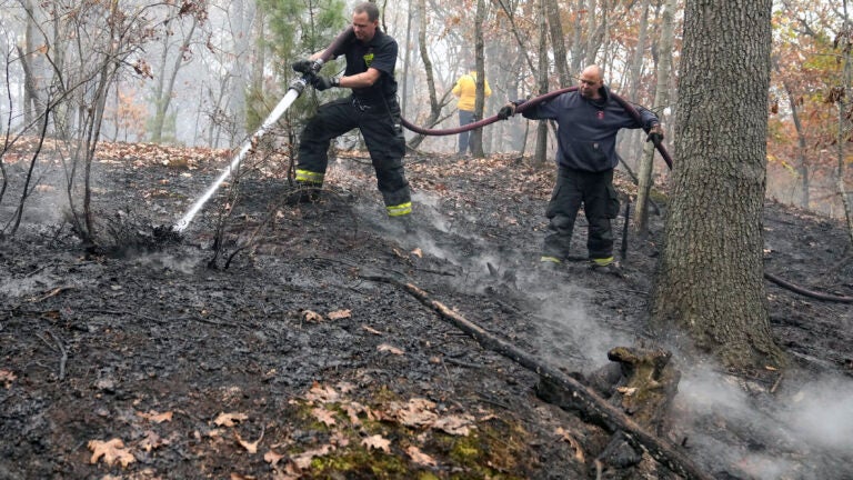 Get to know the firefighters who are fighting forest fires across the country.