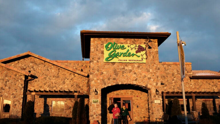 Unexpected Raccoon Visit at Olive Garden in Dorchester