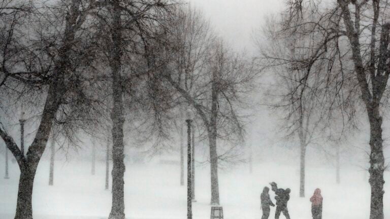 People stand in Boston Common amid a snowstorm