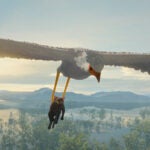 Courtesy of Sideshow/Janus Films