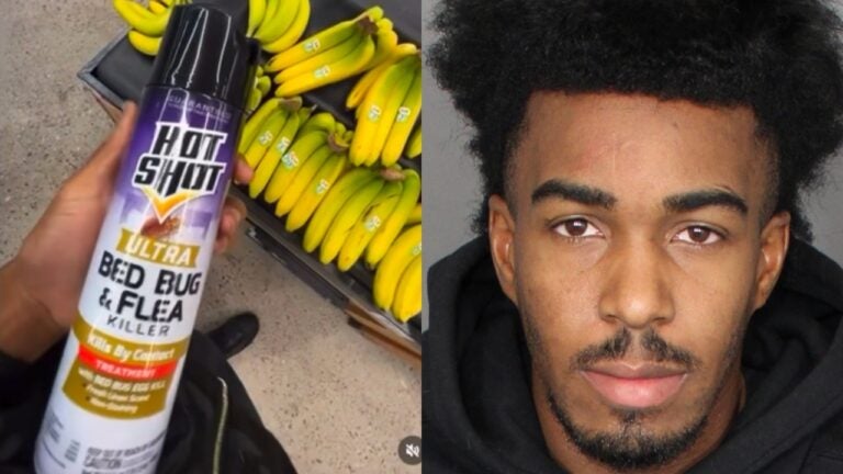 TikTok prankster jailed for spraying groceries with pesticides for clicks