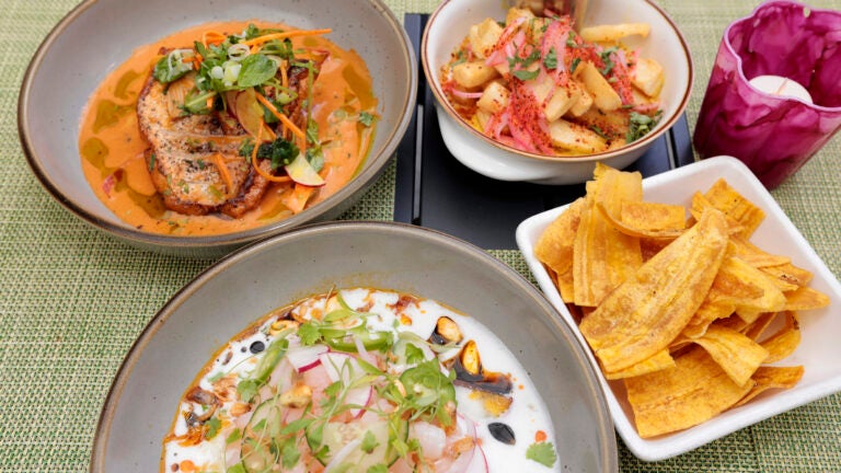 Black Cat at Vee Vee