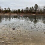 A pond in Nara Park in Acton