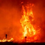 Flames by the Hughes Fire burns trees in Castaic, Calif.
